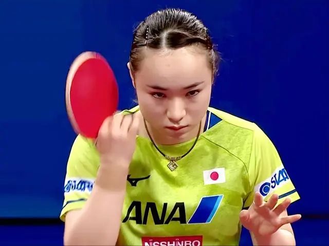 供了一个成