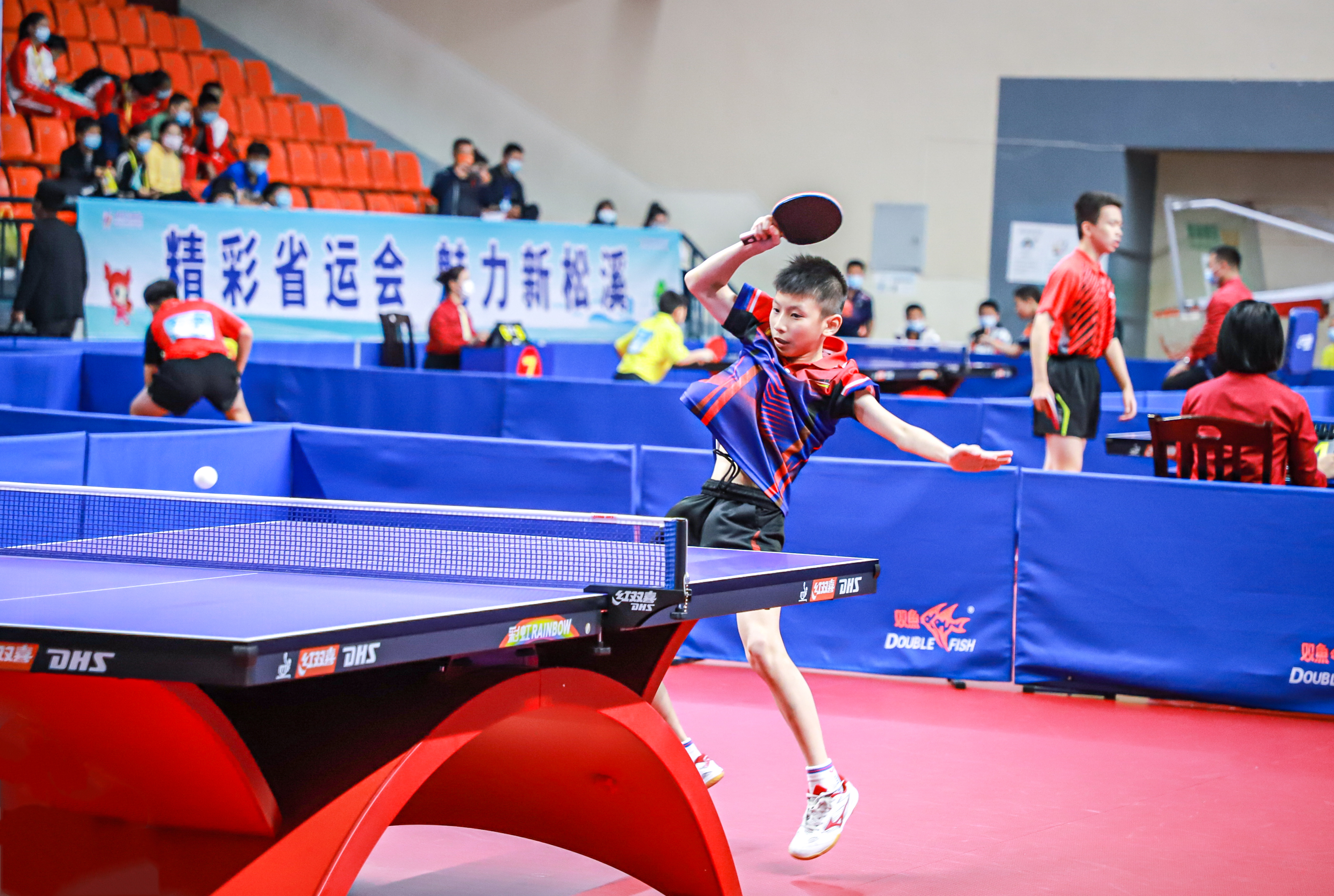 更是对体育 更是对体育