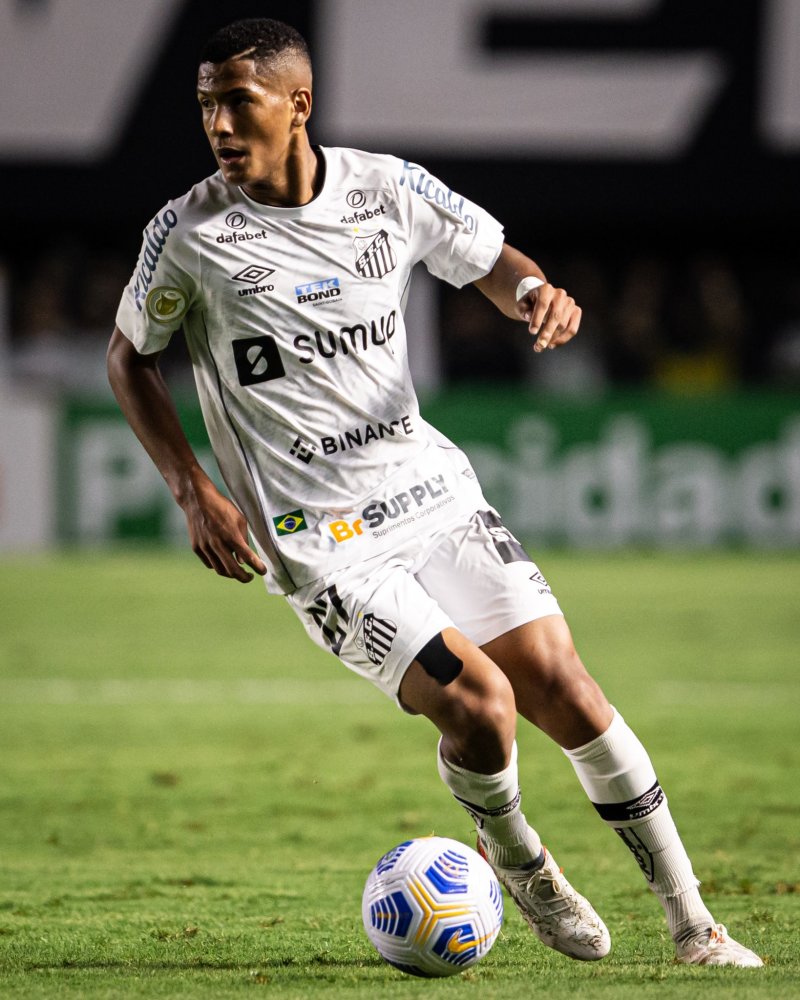 但却以踏踏 但却以踏踏