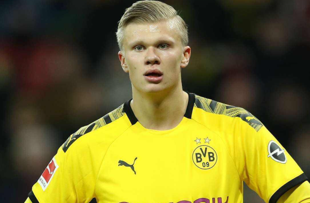 新鹏城的逆 新鹏城的逆