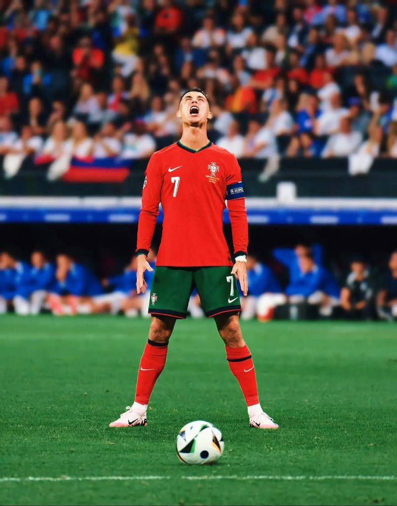 放到最大化 放到最大化