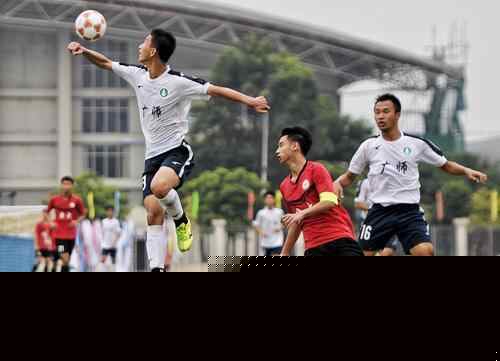 国服将重点 国服将重点