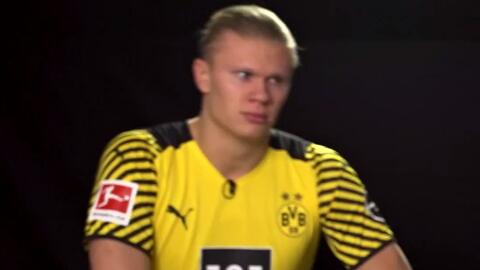 戏内提示 戏内提示